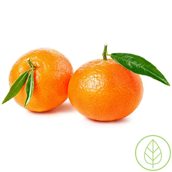 קלמנטינה ענק