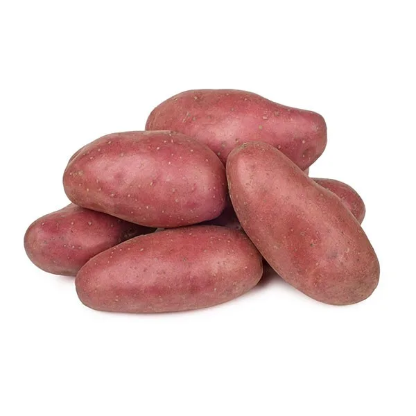 תפוח אדמה אדום תפזורת