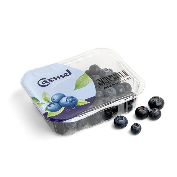 קופסת אוכמניות טריות