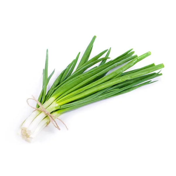 בצל ירוק ארוז