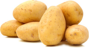 תפוח אדמה לבן תפזורת