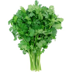 כוסברה ארוז