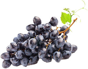 ענבים שחורים