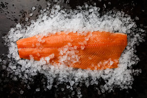 פילה דג סלמון נורווגי קפוא עם עור