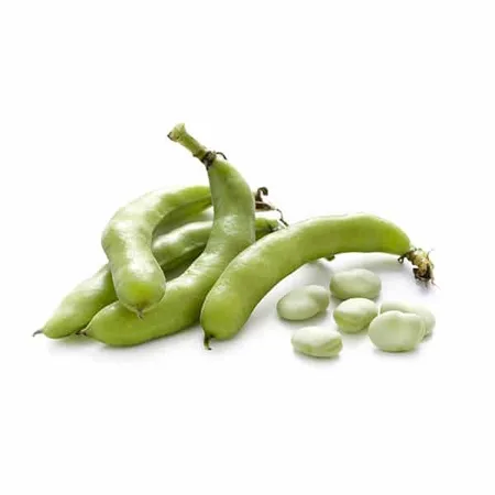 פול ירוק טרי